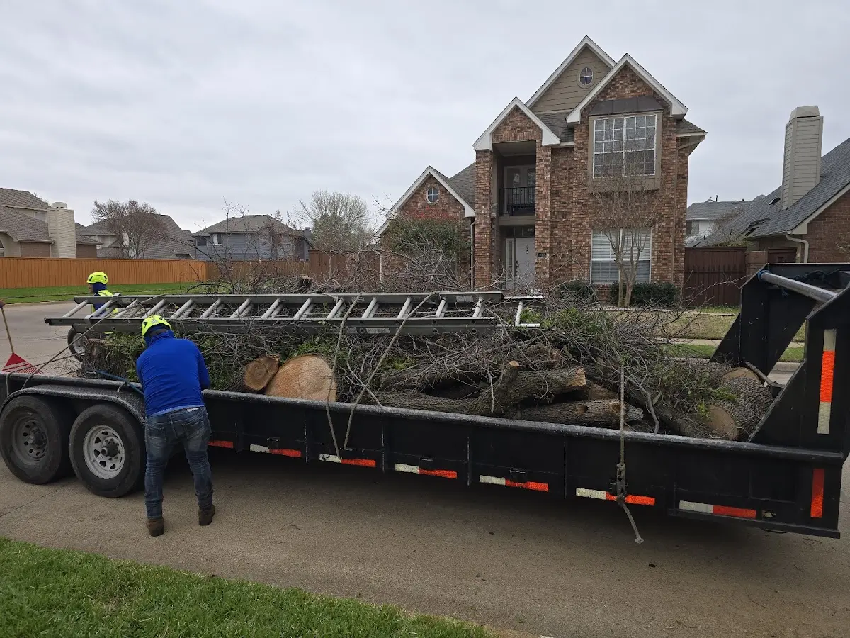 Expert Lot Clearing with proper safety equipment in Mitchell